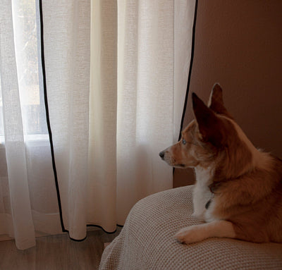 Smooth Bordered Linen Curtain